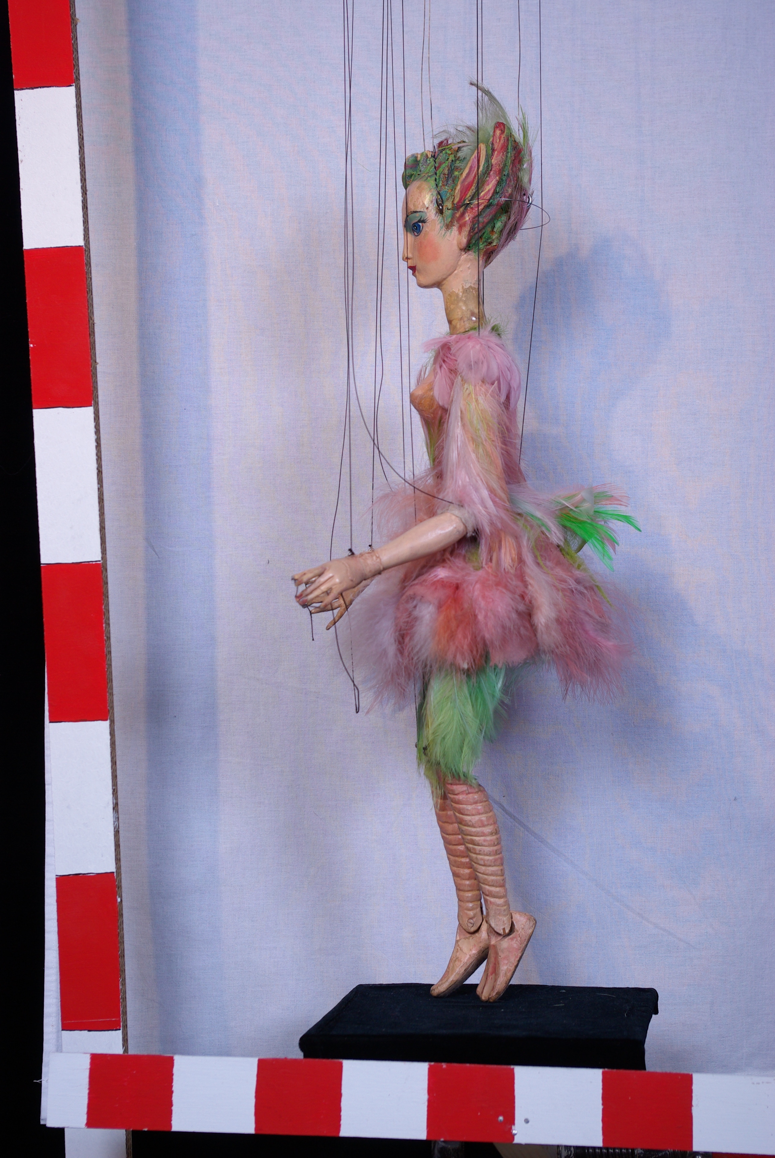 IMGP2065