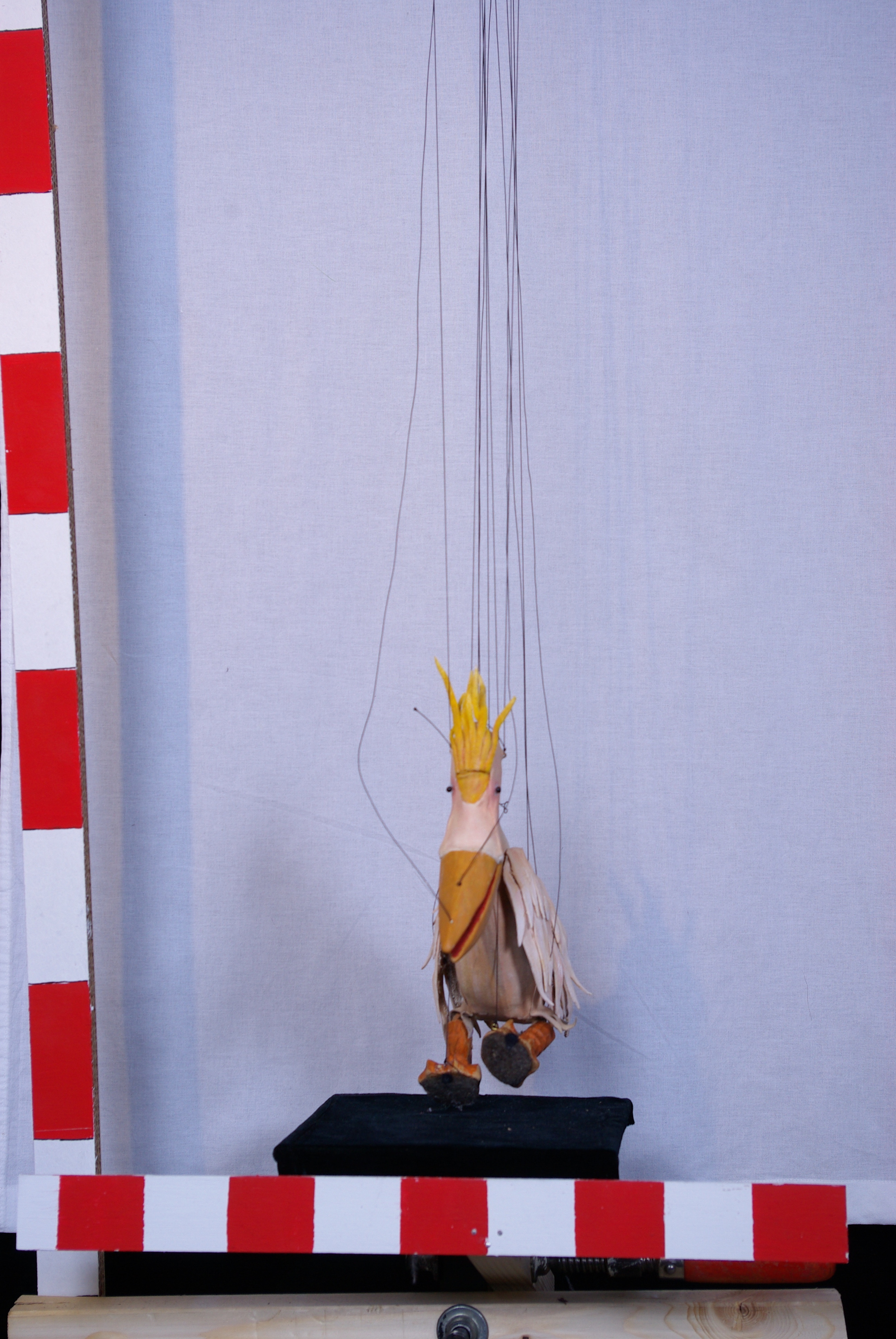 IMGP2221