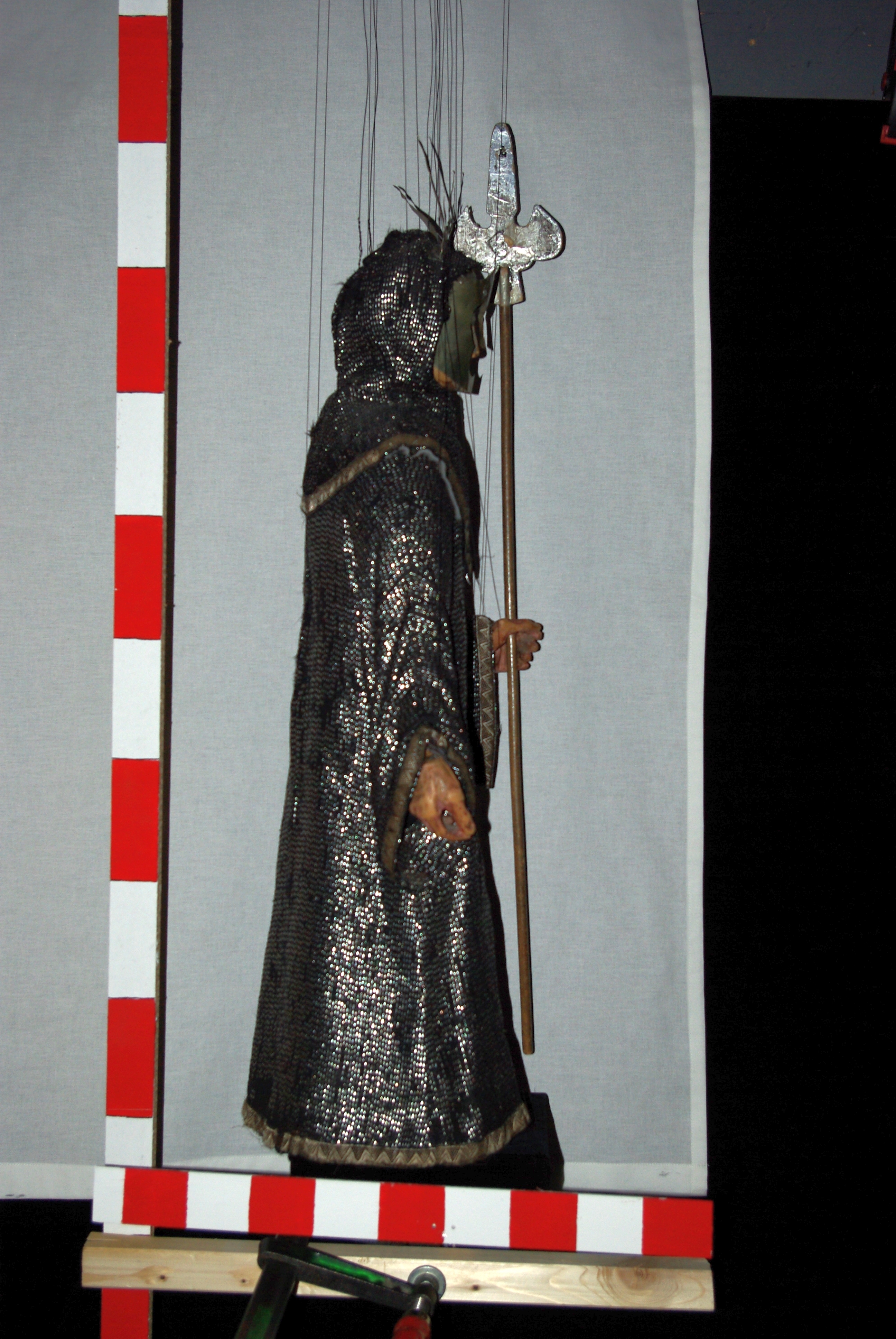 IMGP7531
