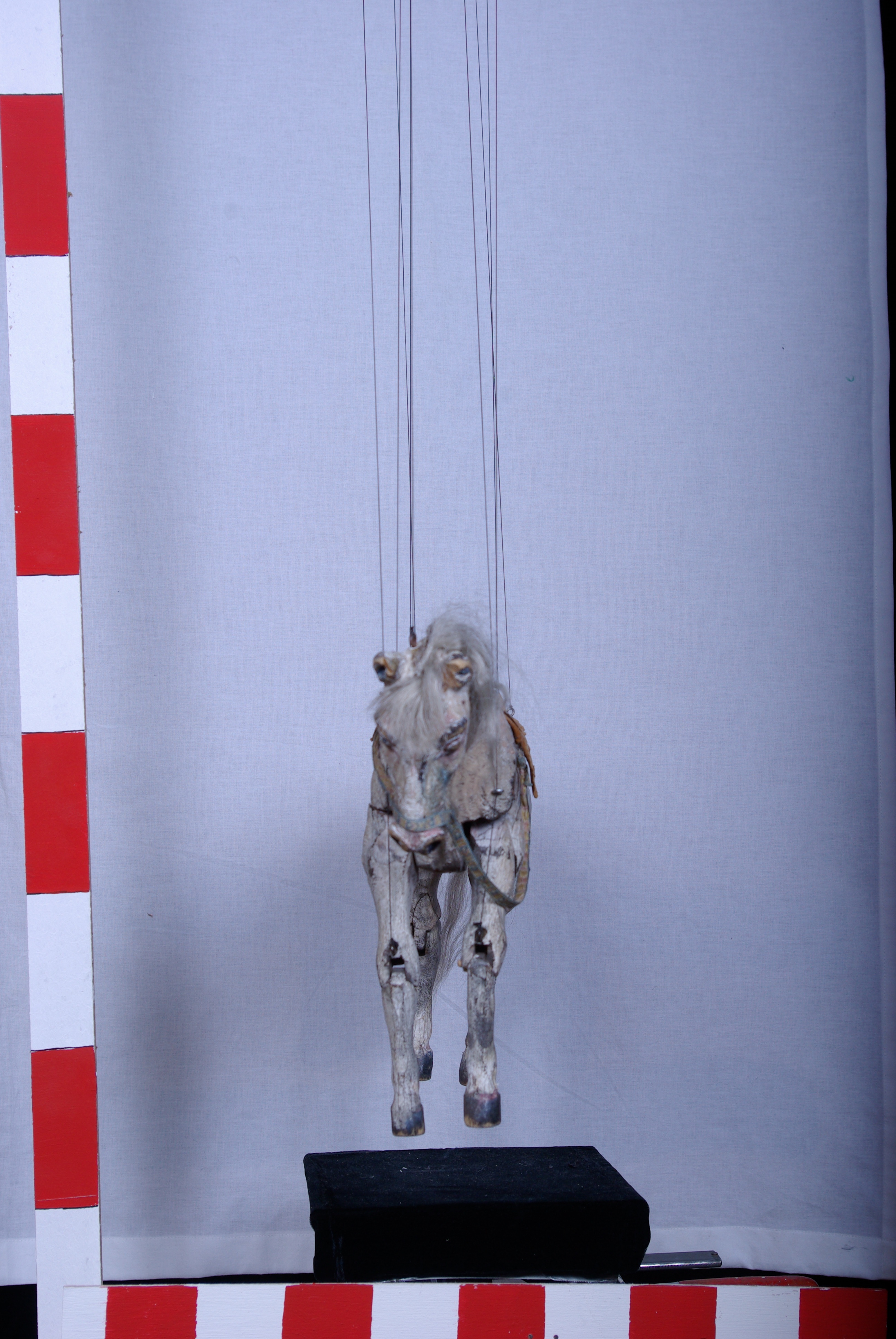 IMGP9823