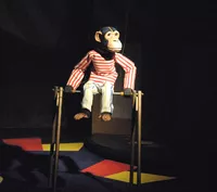Monkey on Bar016