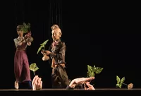 Mo Wo2023 Der Alte Baum c Wolfgang Lienbacher 5114