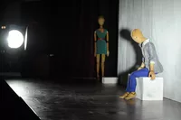 Papillons. Wina, Vult